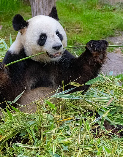 A Family Adventure in  China